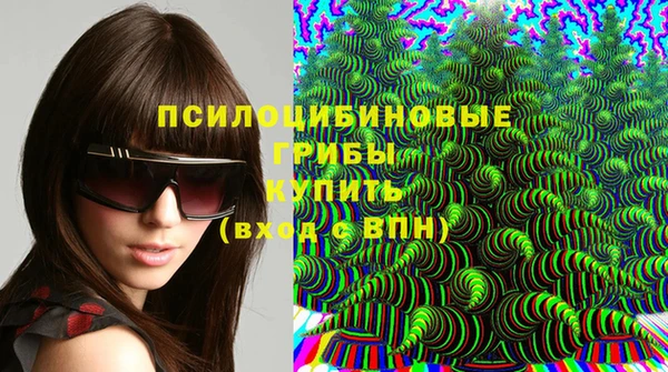 apvp Алексеевка